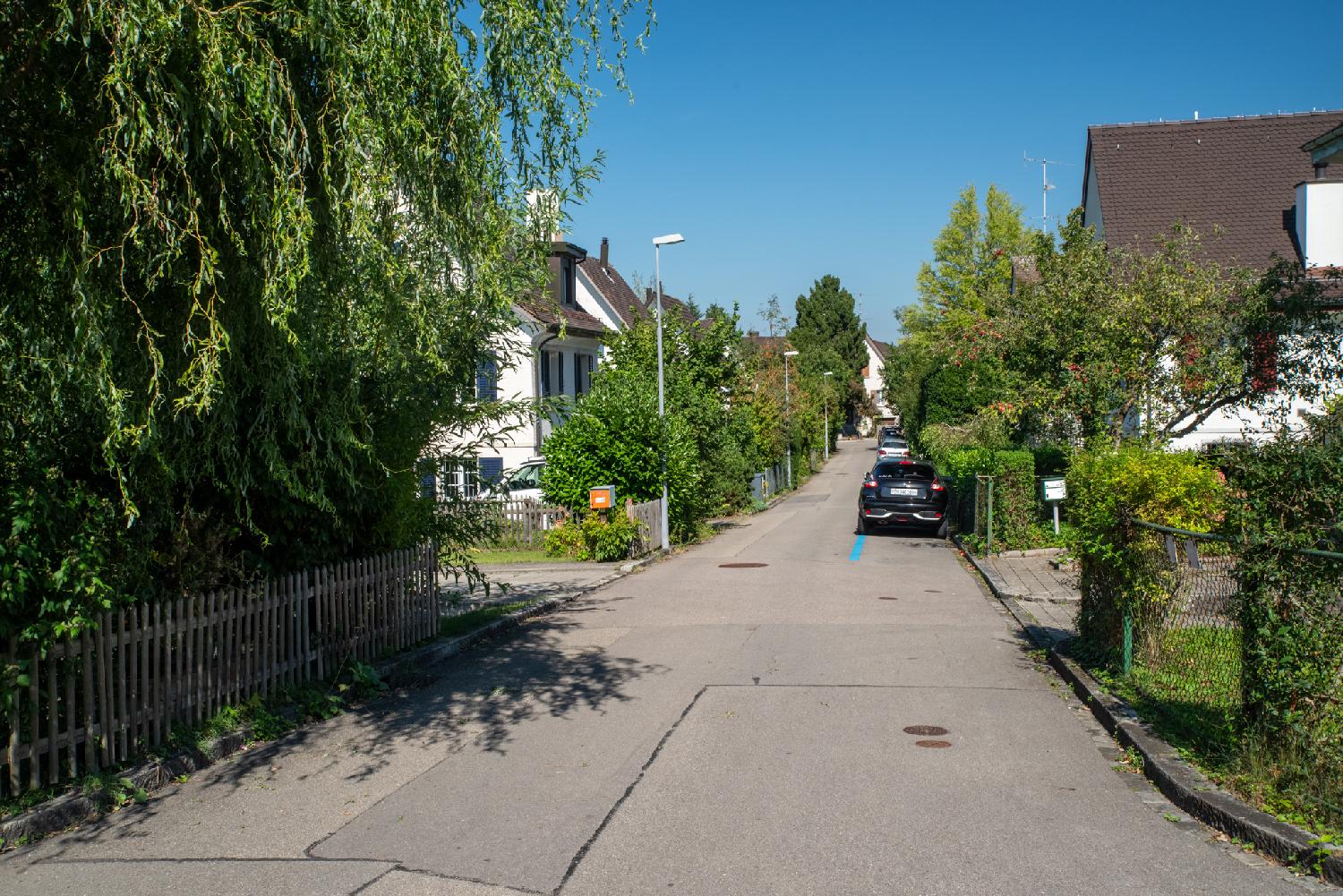 A small residential street with individual houses and a willow in the foreground.