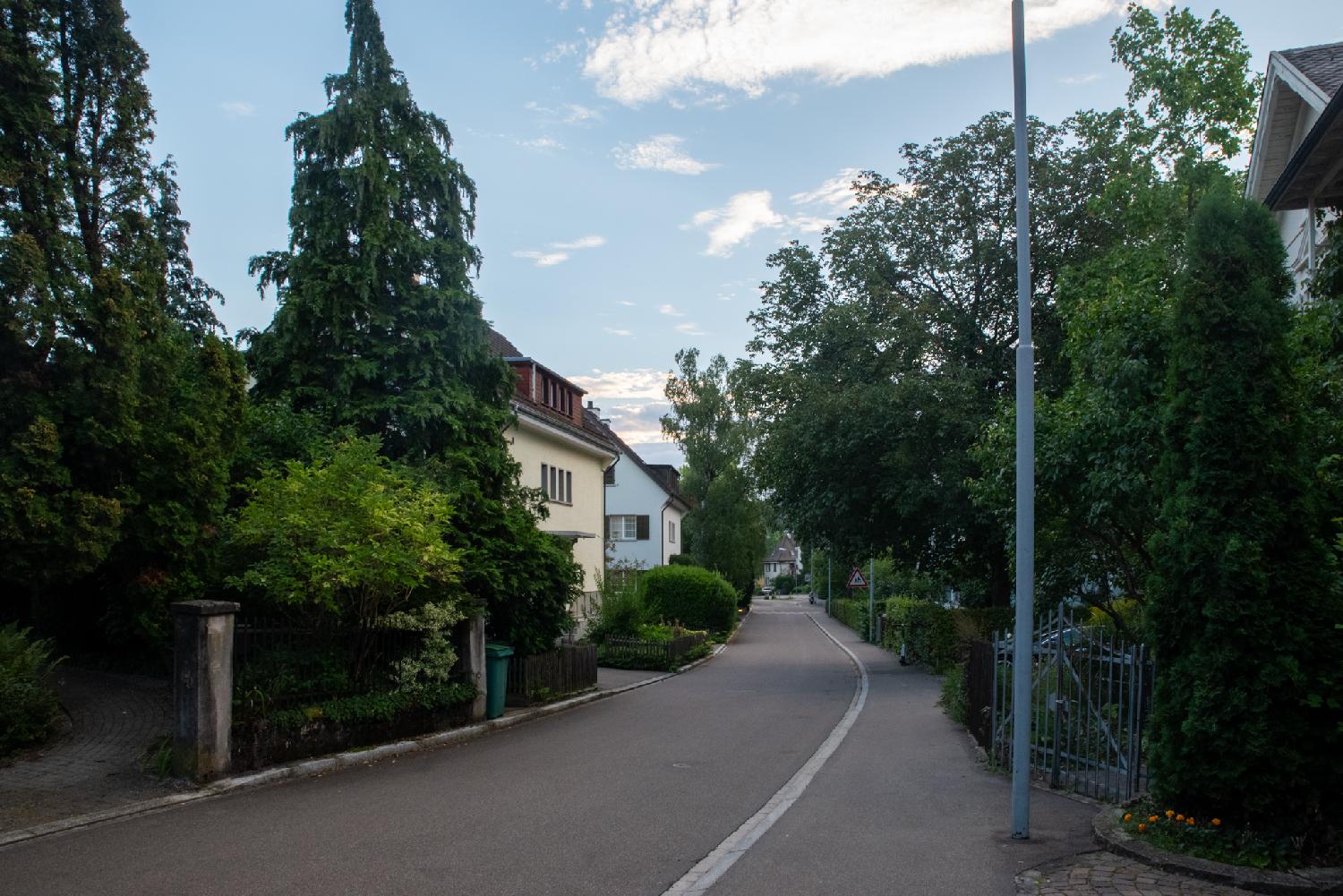 Allenmoosstrasse in Zürich: a narrow residential street with 2-3 story buildings and trees from gardens on each side of the road.