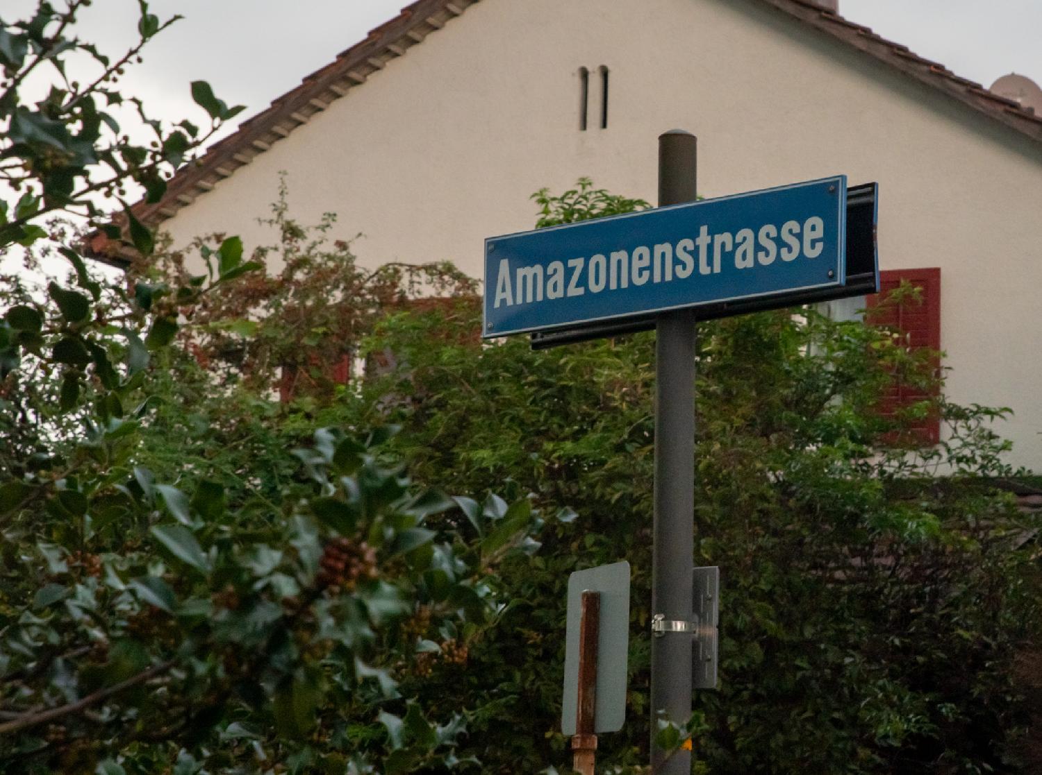 A blue Amazonenstrasse street sign, in front of a house and low trees / holly.