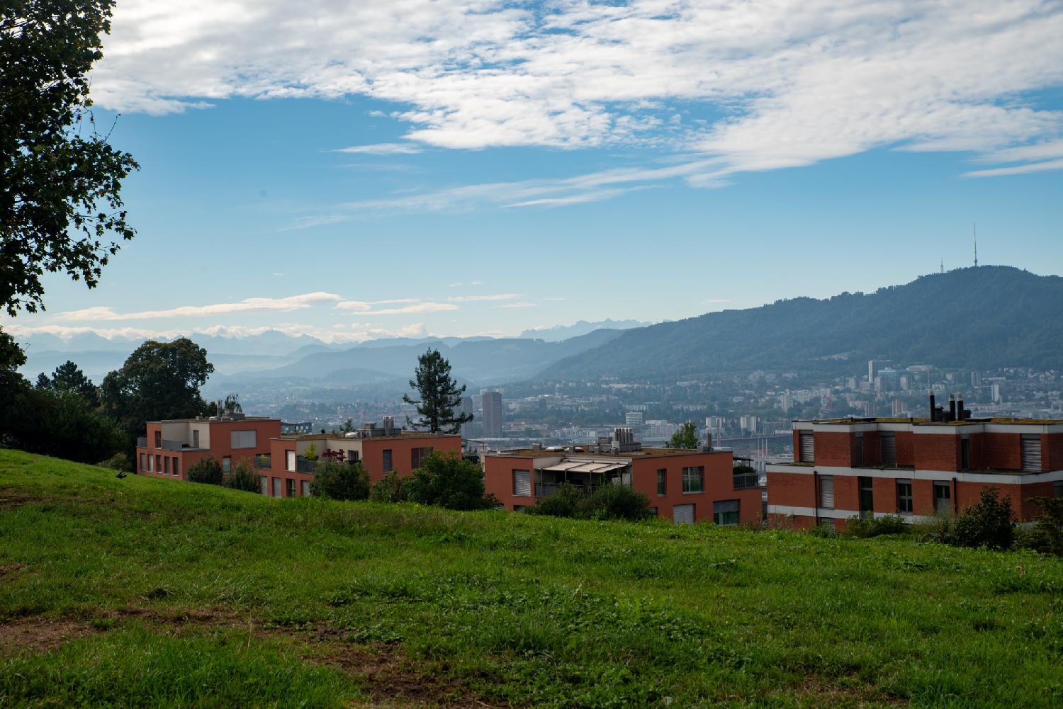 View from Am Hönggerberg in Zürich: a green meadow, red buildings, and further away with some haze, the city, the Uetliberg on the right, and the Alps on the right