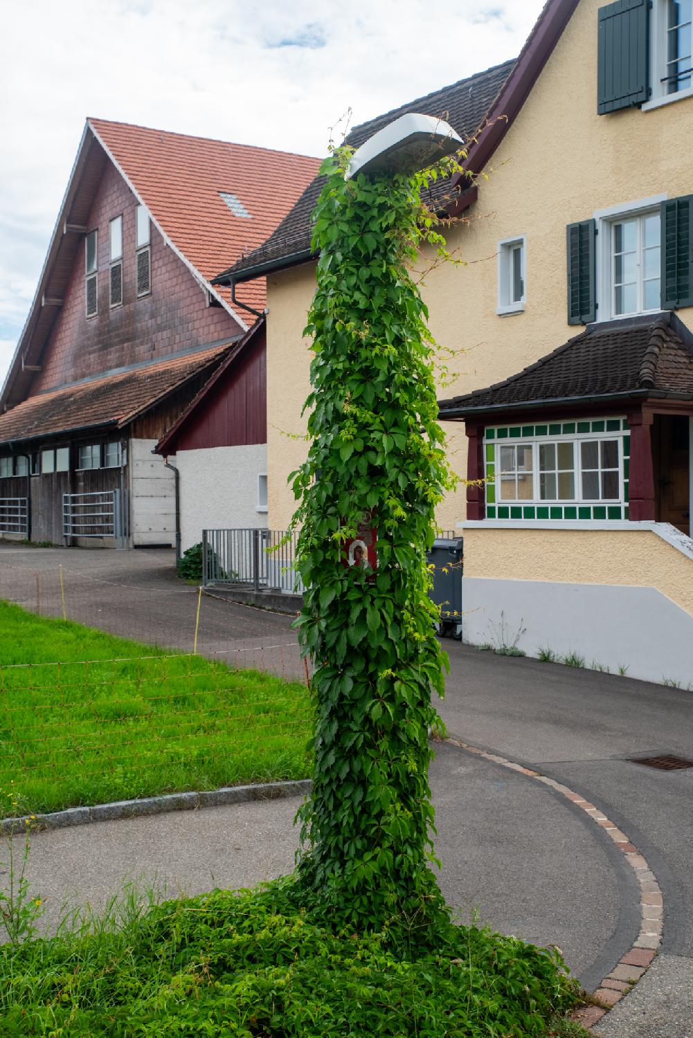 A streetlight covered with leaves in front of a yellow building and a red building (both 2-3 story high, looking like farm buildings)