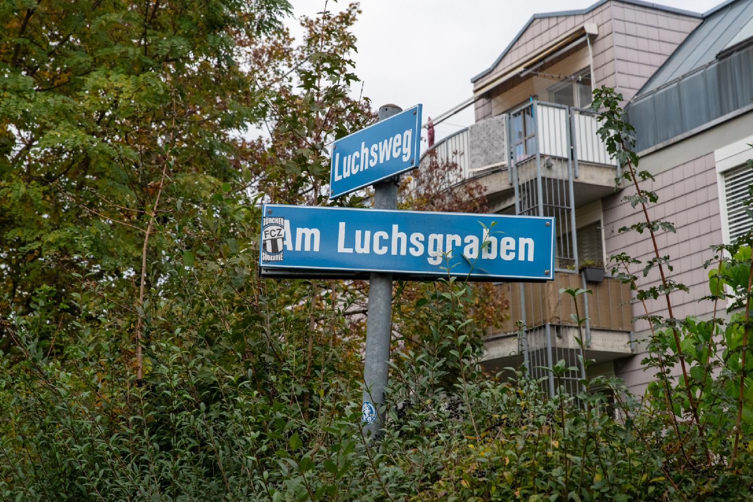 Street sign for Am Luchsgraben in Zürich: a metallic pole with blue signs, crossing, for Am Luchsgraben and Luchsweg, above green vegetation, in front of old-pink-colored buildings