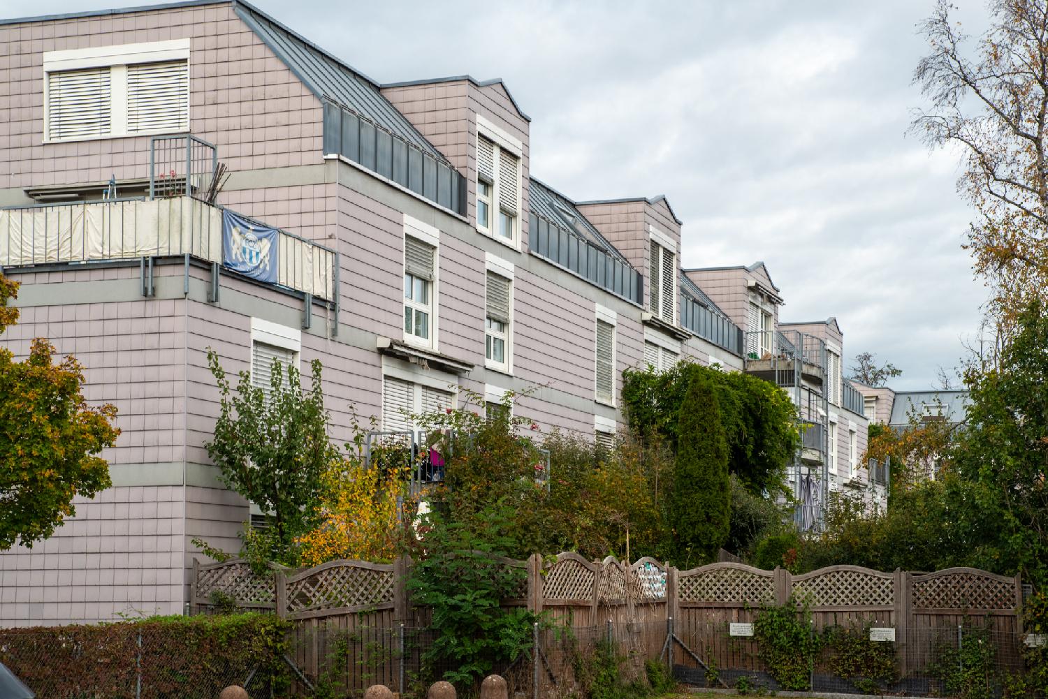 4-story residential buildings with grey roofs and dormer windows, with high wooden fences in front of vegetation in the front yard.