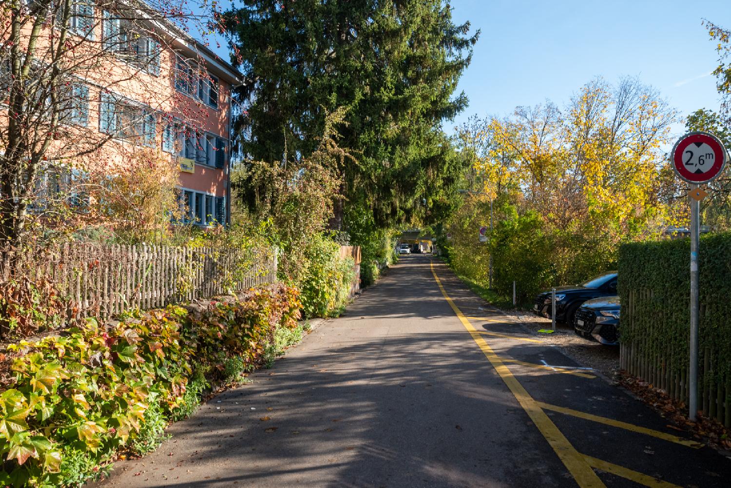 A narrow street with a 4-story residential building and pine trees on the left, and trees and cars on the right. The street is limited to 2.6m in height.