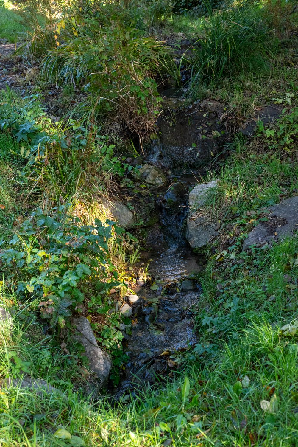 A small stream between grass and stones
