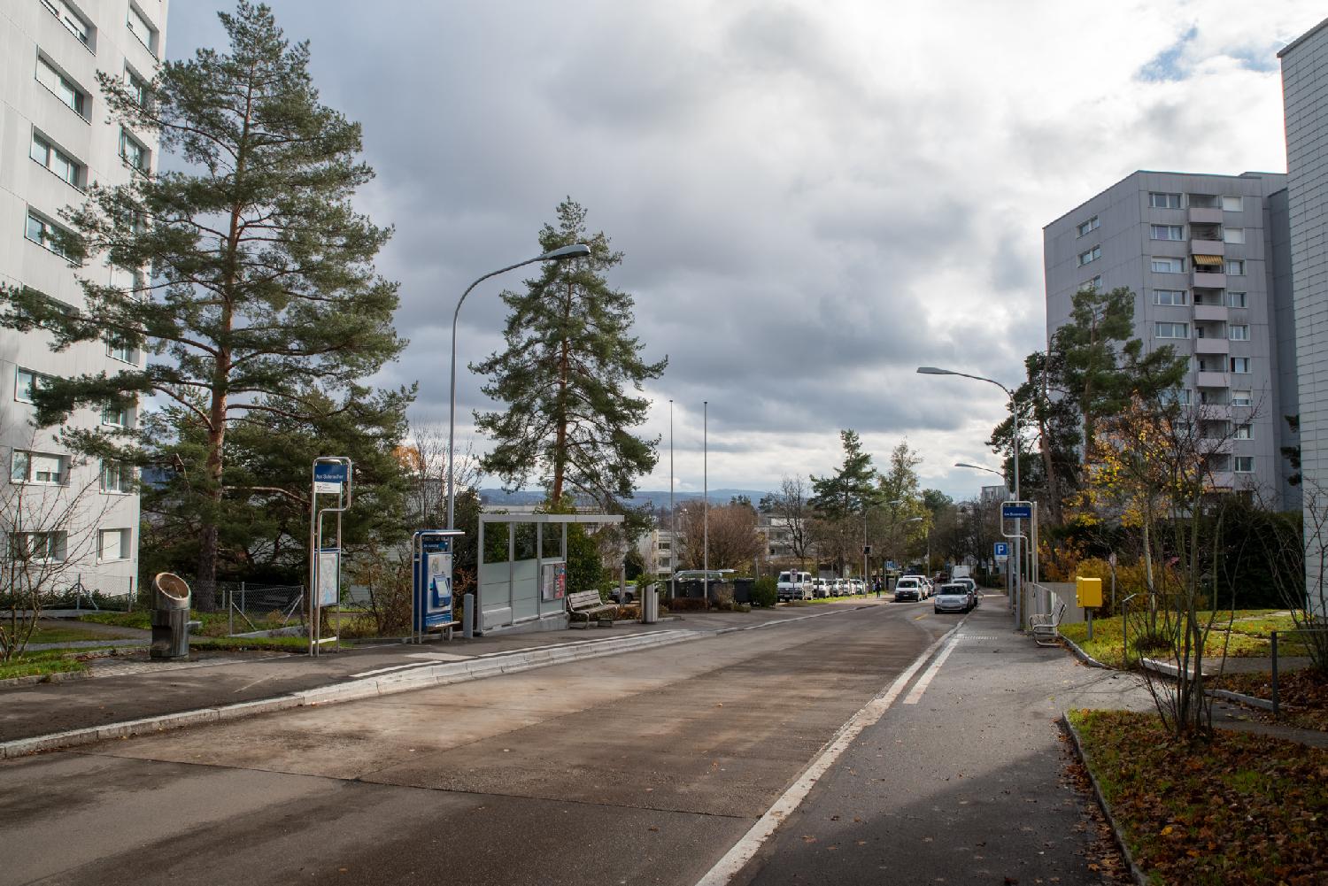 A street with 12-story buildings on each sides, some pine trees, a bus stop and a drinking fountain.