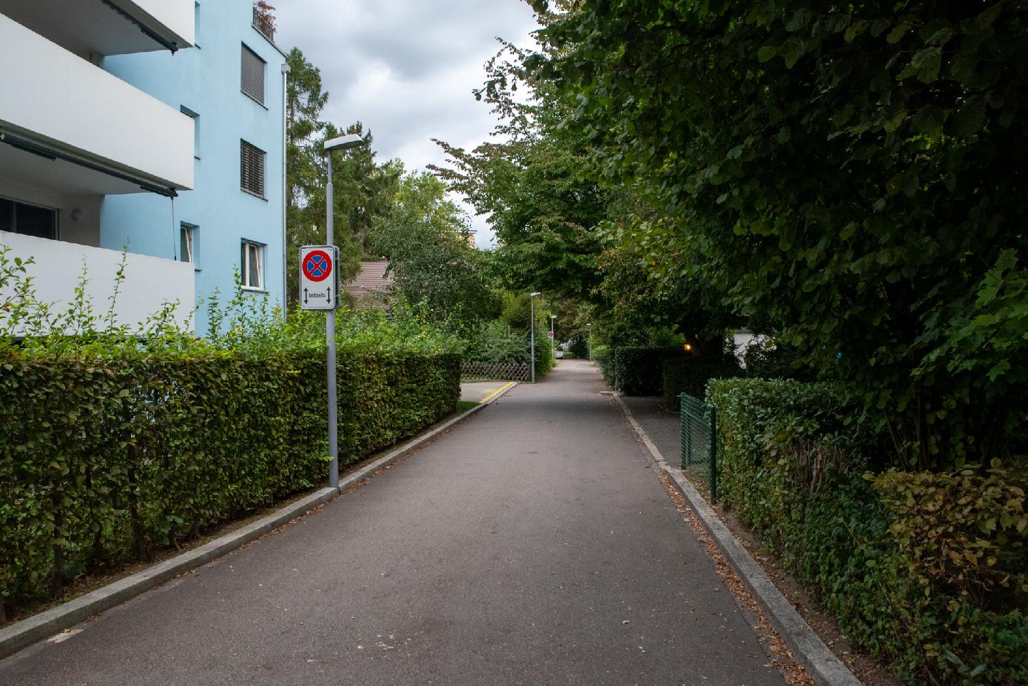 A narrow street with hedges on both sides, buildings on the left side and trees on the right side