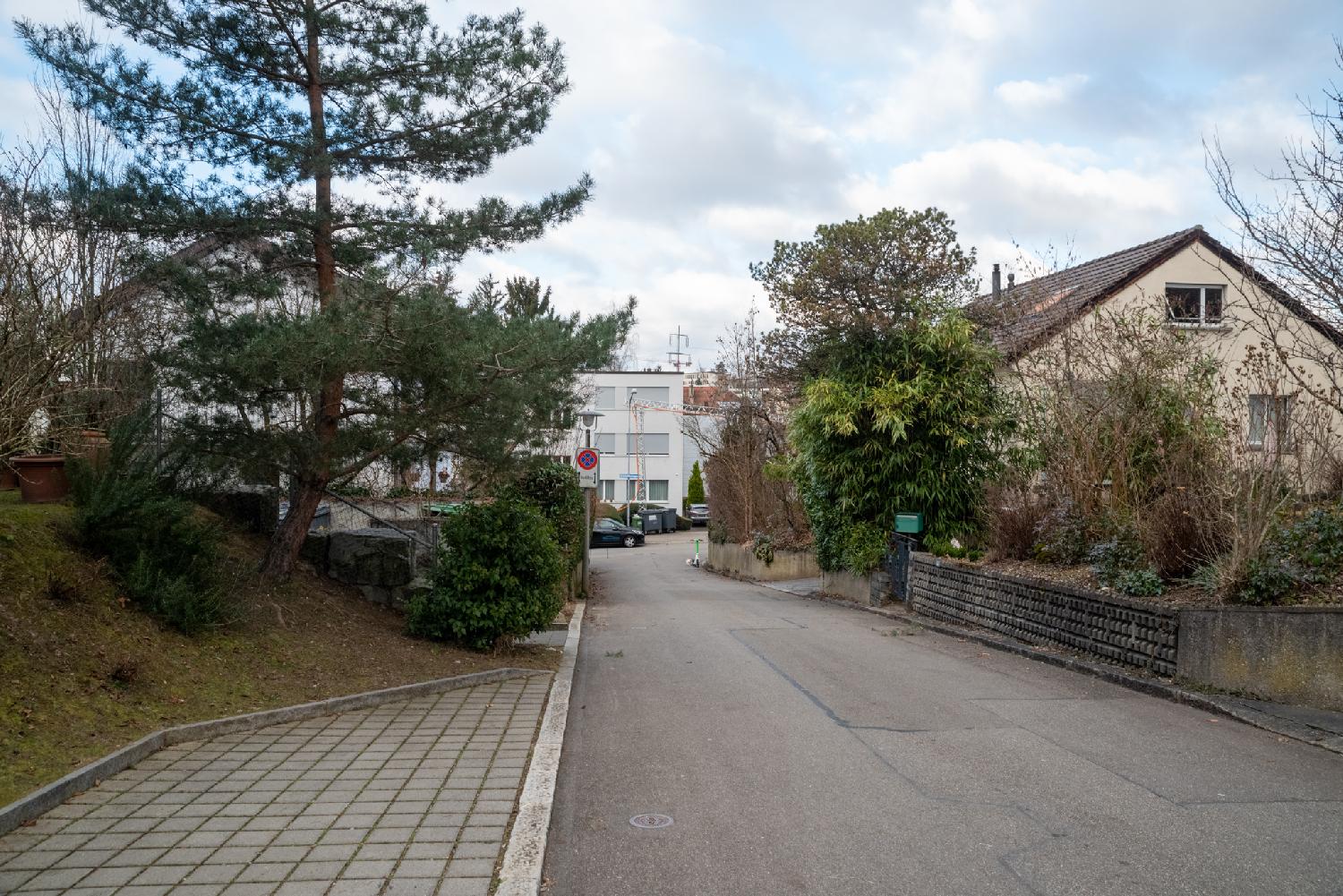 A narrow street in a residential neighborhood. There's a large pine tree on the left and an empty parking spot in the foreground.