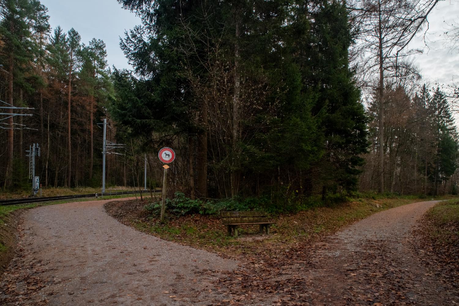Intersection between two forest paths. The left one continues along a train track and has a "no horses" sign.